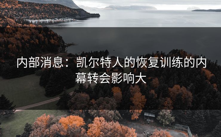 内部消息：凯尔特人的恢复训练的内幕转会影响大